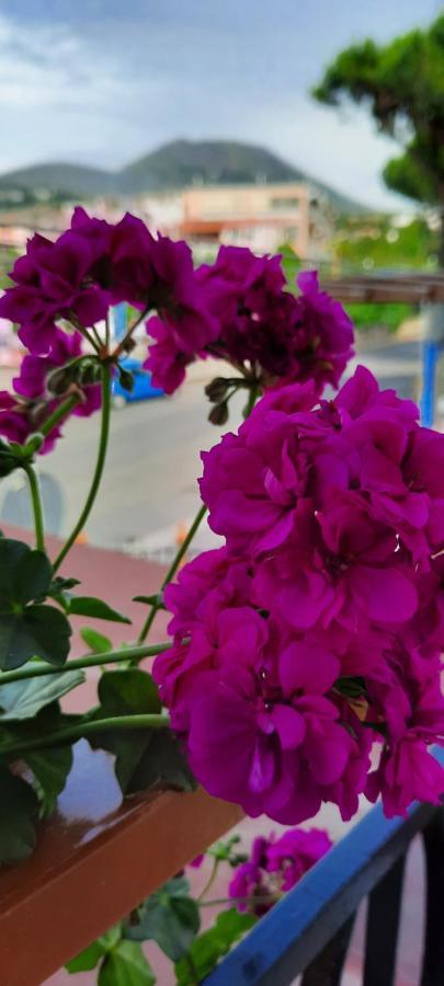 Vesuvius' Lovely Inn Ercolano Ngoại thất bức ảnh